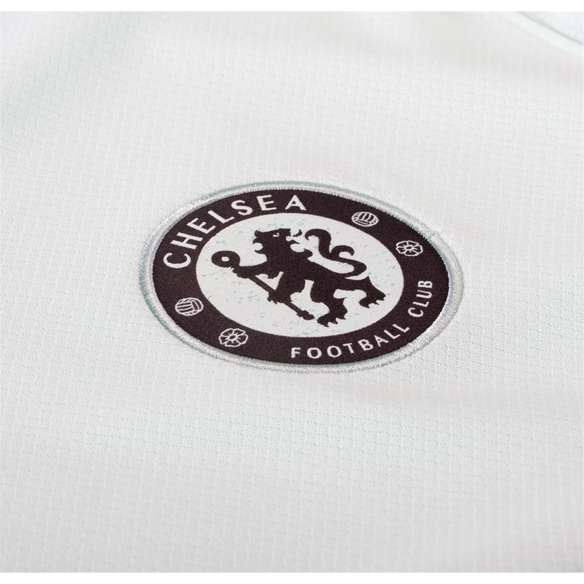Nike Chelsea Moises Caicedo Third Jersey w/ EPL + No Room For Racism Patches 23/24 (Mint Foam/Black)